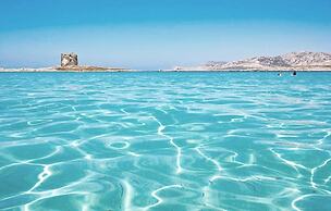 Moon Valley la pelosa