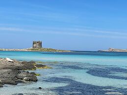 Moon Valley la pelosa