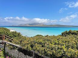 Moon Valley la pelosa