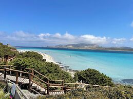 Moon Valley la pelosa