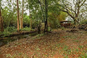 Kauai Waikomo Stream Villas 131 2 Bedroom Condo