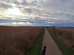 Apartment, 250m From Coast