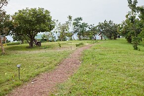 ngirisi hill silverback  lodge-bwindi