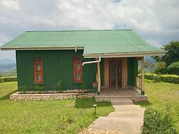 ngirisi hill silverback  lodge-bwindi