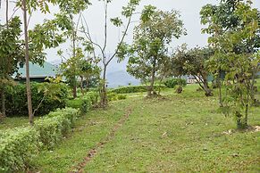 ngirisi hill silverback  lodge-bwindi