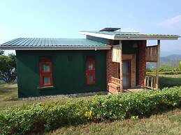 ngirisi hill silverback  lodge-bwindi