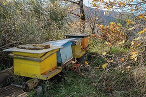 Il Capriccio del Papa