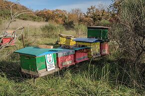 Il Capriccio del Papa