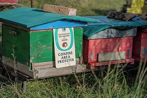 Il Capriccio del Papa