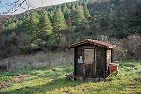 Il Capriccio del Papa