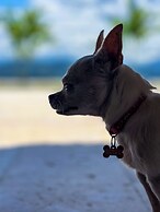 Fina Estampa Country Hotel - Mayores de 10 años -