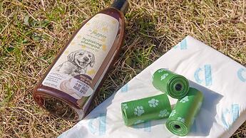 Gyeongju Clearmorning Petfriendlypension