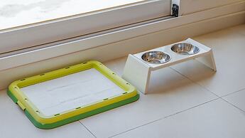 Yangyang Monti Pet Spa Pension