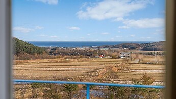 Yangyang Monti Pet Spa Pension