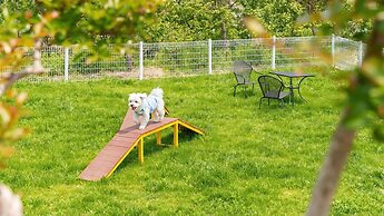 Yangyang Monti Pet Spa Pension