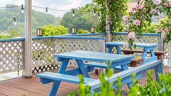 Yangyang Monti Pet Spa Pension