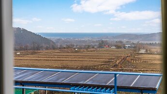 Yangyang Monti Pet Spa Pension