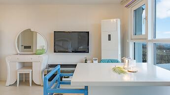 Yangyang Monti Pet Spa Pension