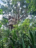 Glowing view tree house and Bangalow