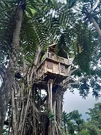 Glowing view tree house and Bangalow
