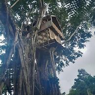 Glowing view tree house and Bangalow