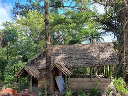 Glowing view tree house and Bangalow