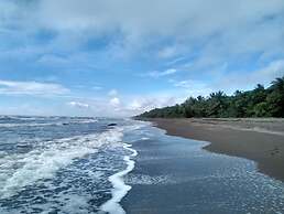 Tortuguero Adventures Beach House