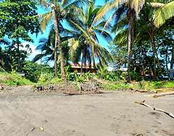 Tortuguero Adventures Beach House