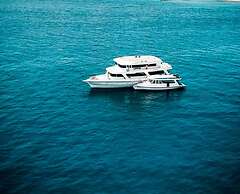 The Maverick Surf & Dive Lodge
