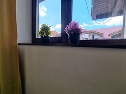 2405 Cosy Mountain View Apartment - 200mbps Wi-fi!