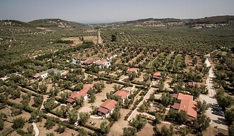 Holiday Home in Vieste With two Rooms