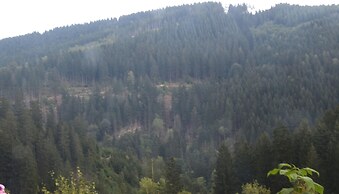 Holiday Apartment Romantic in the Heart of Harz