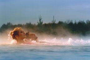 Restyled Wooden Lodge Near the Maasduinen
