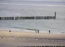 Pet-friendly Escape by the Sea