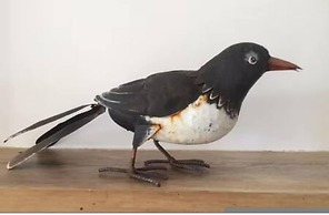 The Coach House Penzance- Cosy Nook for 2