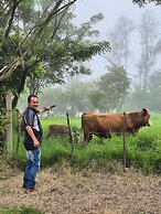 Glampling Nubes de Monteverde