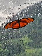 Glampling Nubes de Monteverde