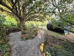 Glampling Nubes de Monteverde