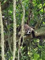 Glampling Nubes de Monteverde