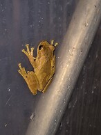 Glampling Nubes de Monteverde