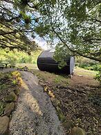 Glampling Nubes de Monteverde