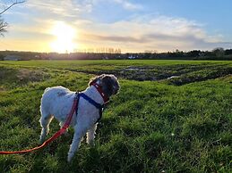 Picturesque Family Hideaway Chipping Ongar Essex