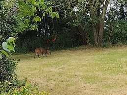 Picturesque Family Hideaway Chipping Ongar Essex