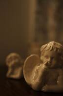 Cavalry Villa Bikaner