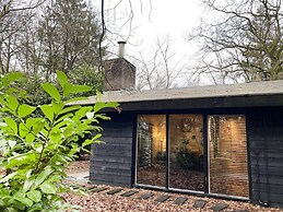 Lavish Holiday Home in Rheezerveen With Wellness