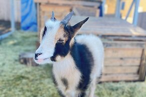 Unique Stay: Alpine 'mariposa Farmhouse' w/ Views!