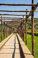 Villa Antea in Massa Lubrense