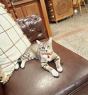 The Taksim Patong Beach Hotel