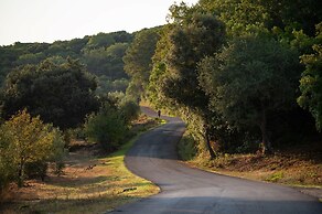 Porto Saint Stephanos