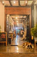 Coffee Tree Boutique Hostel